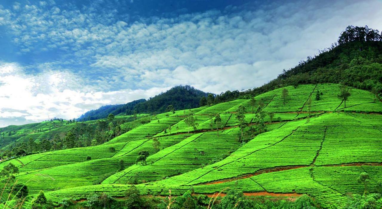 Gregory Hills Hotel Nuwara Eliya Ngoại thất bức ảnh